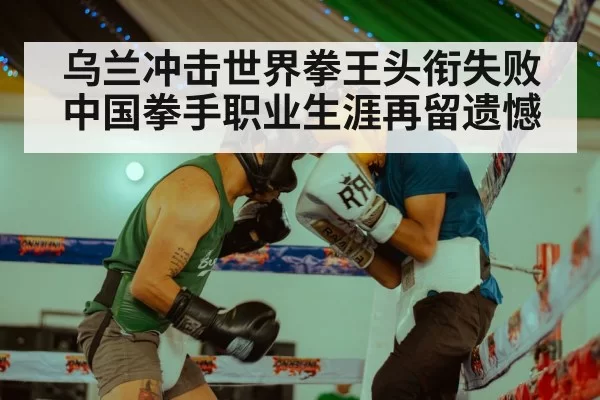 乌兰冲击世界拳王头衔失败中国拳手职业生涯再留遗憾